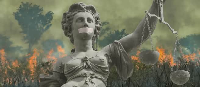 Montage: Justitia in front of a burning rainforest