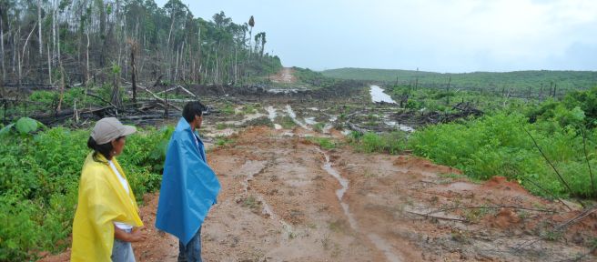 Two Peruvian smallholders in a clearing that will be planted with oil palms
