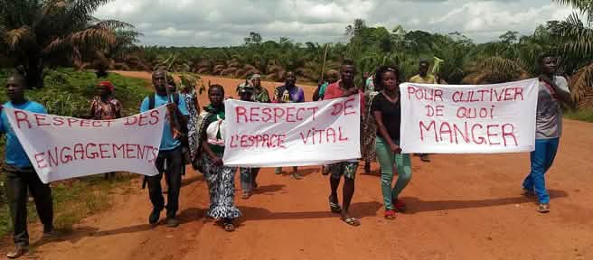 Protest against palm oil company Socfin in Cameroon