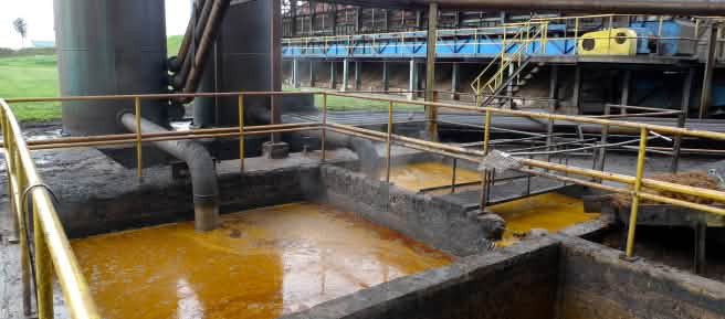 Palm oil mill on Borneo