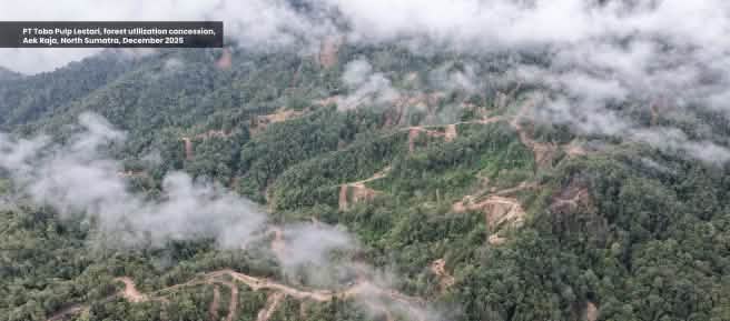 Aerial view of deforestation in a mountainous region