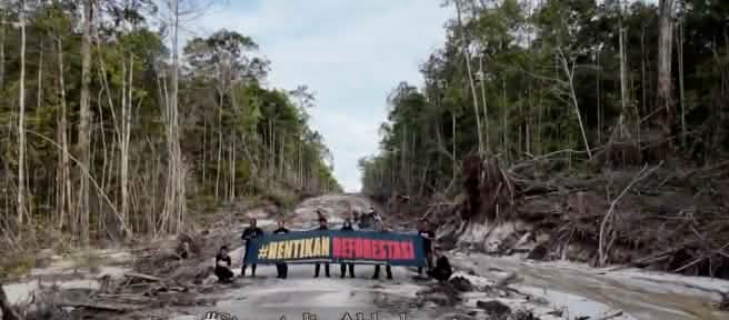 Activists with a “Stop Deforestation” banner protesting on a logging road