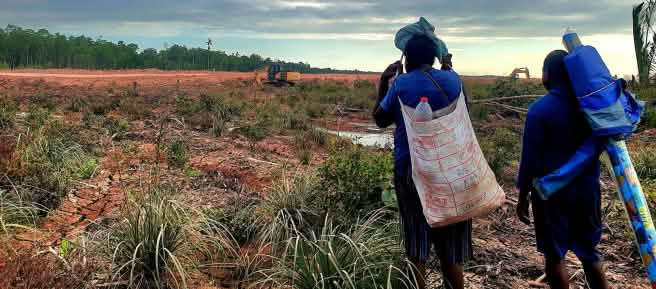 Two men looking from a distance at a clearing for a road