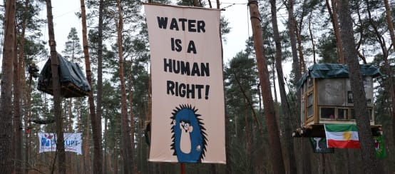 “Water is a Human Right” banner in a pine forest