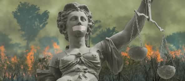 Montage: Justitia in front of a burning rainforest