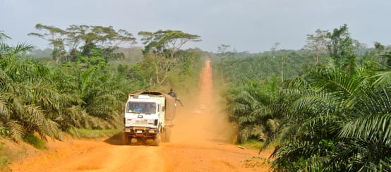 A truck driving through an oil palm plantation in Liberia
