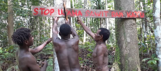 Indigenous Papuans defending their forest against palm oil and paper companies (© Agus Kalalu) Three Papuans putting up a sign in front of their forest