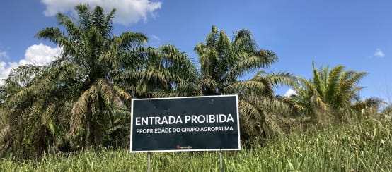 Sign of the Agropalma palm oil company on the edge of an oil palm plantation