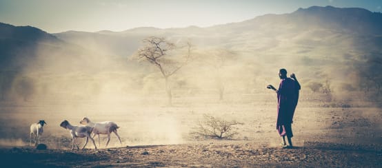 Indigenous Maasai pastoralists have suffered violence for decades (© Patrick Sertore) Maasai in Tanzania