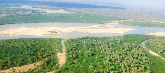 Aerial view of Rufiji River in Tanzania’s Selous Game Reserve