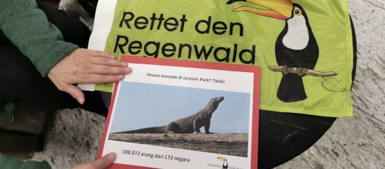 THANK YOU to the more than 100,000 people who stood up for the Komodo dragons! (© Rettet den Regenwald) Rainforest Rescue banner and Komodo petition on a round table