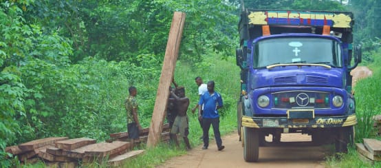 Men load timber from illegally felled trees onto a truck (© Rettet den Regenwald / Mathias Rittgerott) Men loading timber onto a truck
