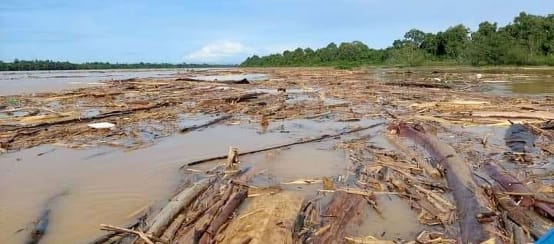 Logjam blocking a river