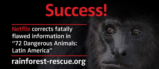 Black howler monkey (Alouatta carayá)  with text "Success!"