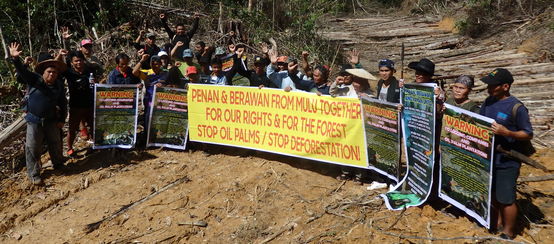 Resistance by local people stopped the loggers (© Bruno Manser Fonds) Penan and Berawan people resisting logging in Mulu forest, Sarawak, Malaysia