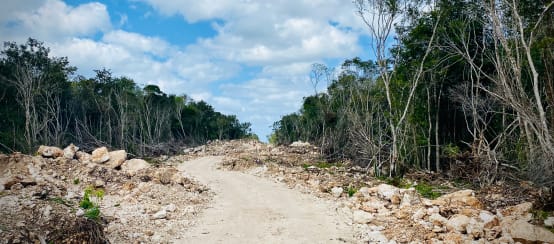Deforestation for the construction of the Tren Maya (© Sanz-Hess) Path cut into the rainforest for the Tren Maya railroad line