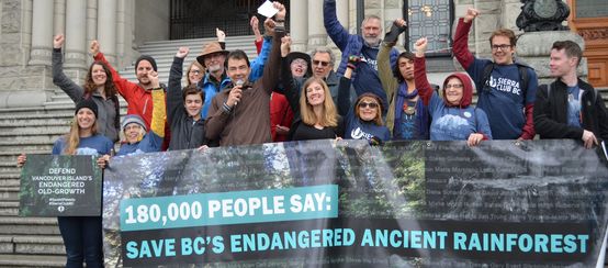 Activists hand over 180,000 signatures protesting logging on Vancouver Island