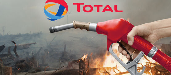 Montage - slash and burn, Total logo
