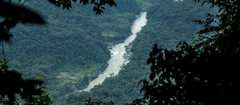 A view through the vegetation opens onto a river in a rainforest valley