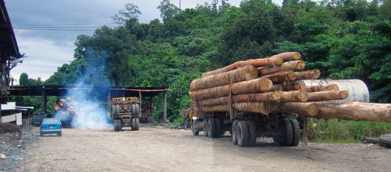 Trucks loaded with illegally logged tropical timber, photographic evidence from Sabah