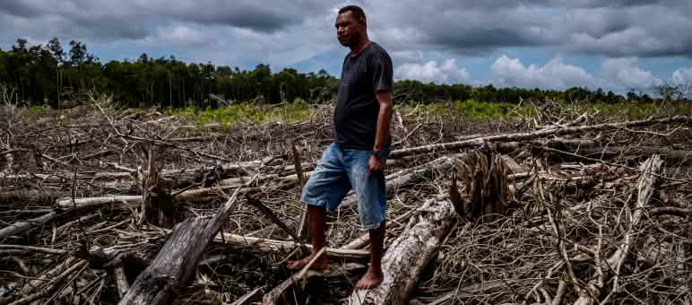 Man in a clearing in Wanam, Merauke, southern Papua