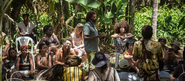 A group of people are chatting under the large leaves of banana trees