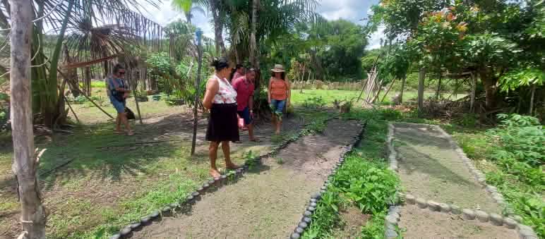 Three people look at two strips of freshly tilled soil under palm trees