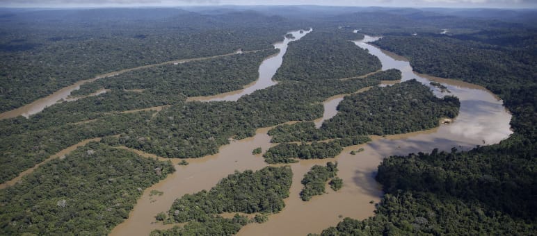 Aerial view of the Amazon rainforest, river landscape