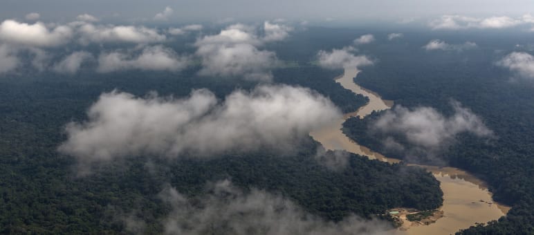 Amazon rainforest in the state of Pará Aerial view of a river meandering through a rainforest, clouds