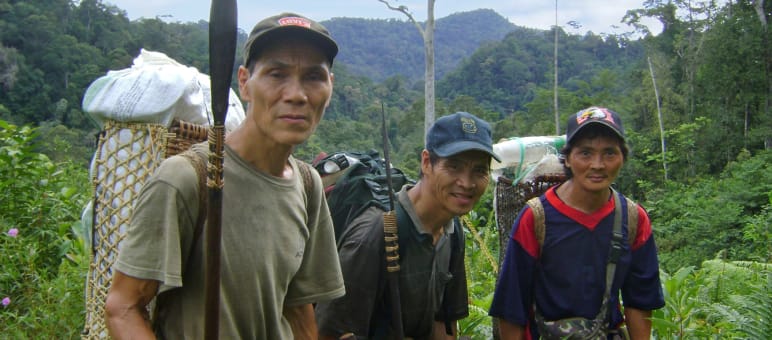 The indigenous Penan live as nomads in and from the forest Three indigenous men in the jungle of Sarawak