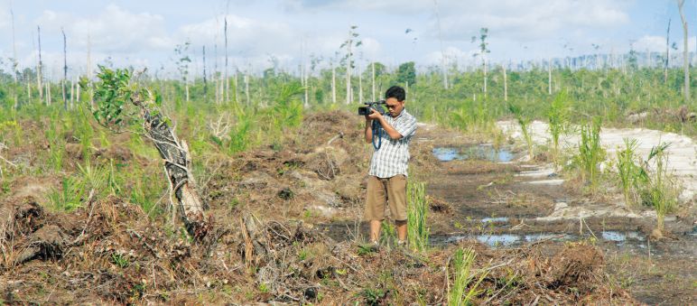 Conservationists record video of palm oil company Wilmar's logging activities