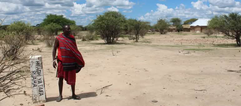 A Maasai man stands in an open space, with low-rise buildings and thatched-roof huts in the background