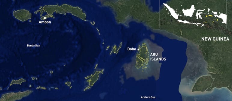 New Guinea - Aru Islands - northern Australia