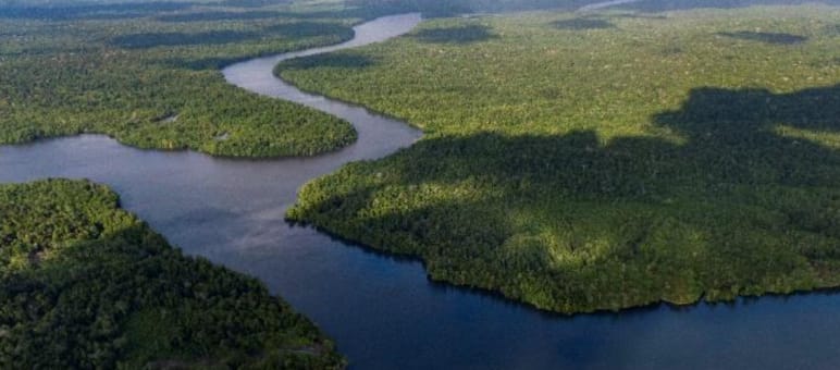 Wooded islands with water in between