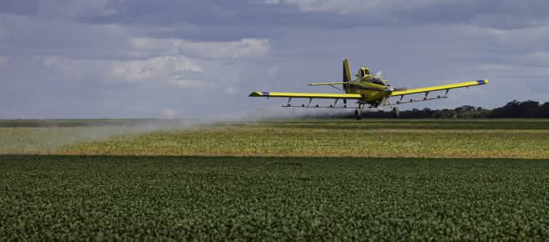 Crop dusters spray glyphosate onto vast swathes of land in North and South America.