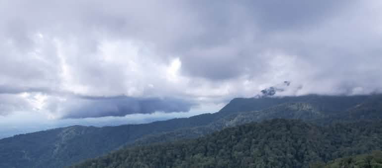Forested mountain landscape