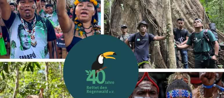 Collage for the 40th anniversary of Rainforest Rescue