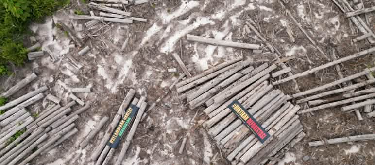 Aerial view of felled tree trunks with banners: “Stop deforestation” and “Save orangutan habitat”