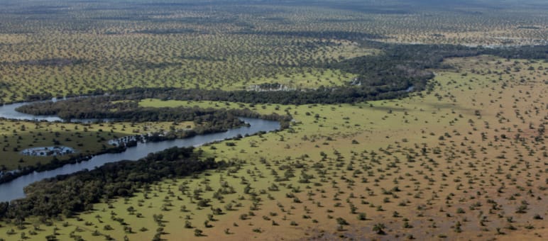 Cerrado savanna in Brazil: Not a forest, but equally important for safeguarding biodiversity, the climate and indigenous inhabitants Aerial view of cerrado in Brazil, landscape with forest and river