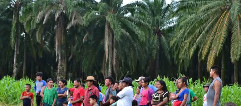 Group of people from the Chapín Abajo community in front of the oil palm plantation surrounding the community