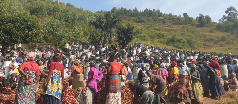Market for illegal charcoal from Kahuzi-Biega National Park, in the village of Murhesa, summer 2025