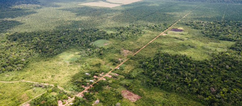 Aerial view of a small village along a straight dirt road, with oil palm plantations cut into the rainforest behind it