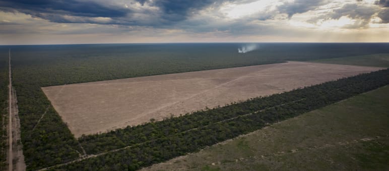 Clear-cutting of the Chaco forest for soy monocultures and cattle pastures Aerial view of two large rectangular deforested areas and access roads cut into the forest
