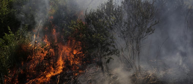 Flames and smoke spreading through the bush