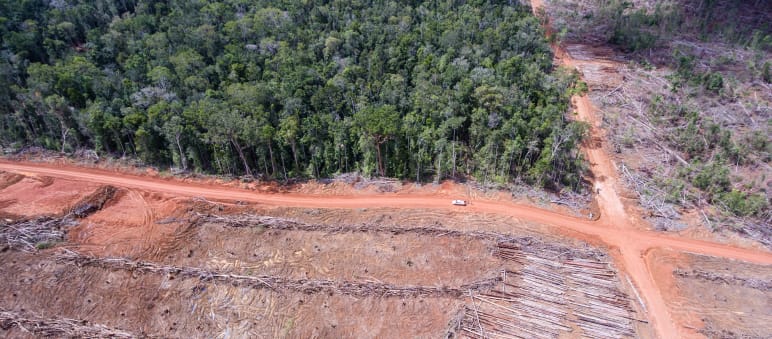 Cleared forest for a Korindo oil palm plantation in Papua Aerial view: clearing forest for Korindo oil palm plantations in Papua