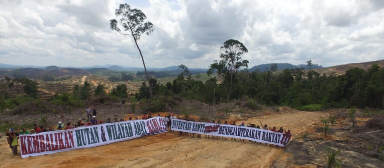Protesters in Borneo speak out against palm oil plantations Protesting against oil palm plantations in Borneo