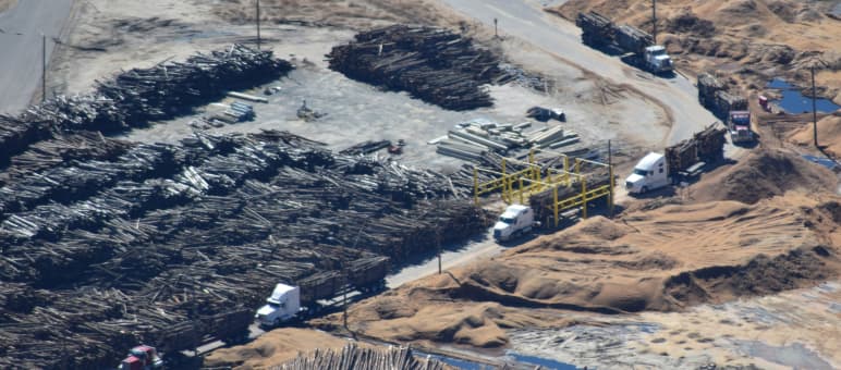 Terrible for forests, terrible for the climate: wood pellet production Trucks delivering timber to a pellet factory