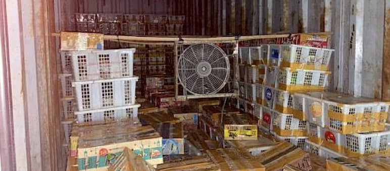 View of a truck filled with crates