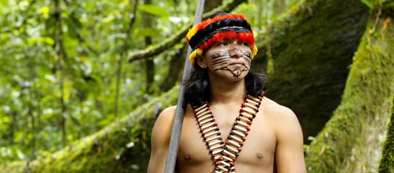 826 indigenous peoples live in Latin America and the Caribbean, 305 of them in Brazil An indigenous man wearing feathers and a painted face standing in the forest with a blowpipe