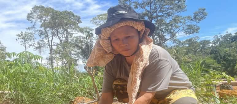 A woman crouching on the ground, planting a seedling